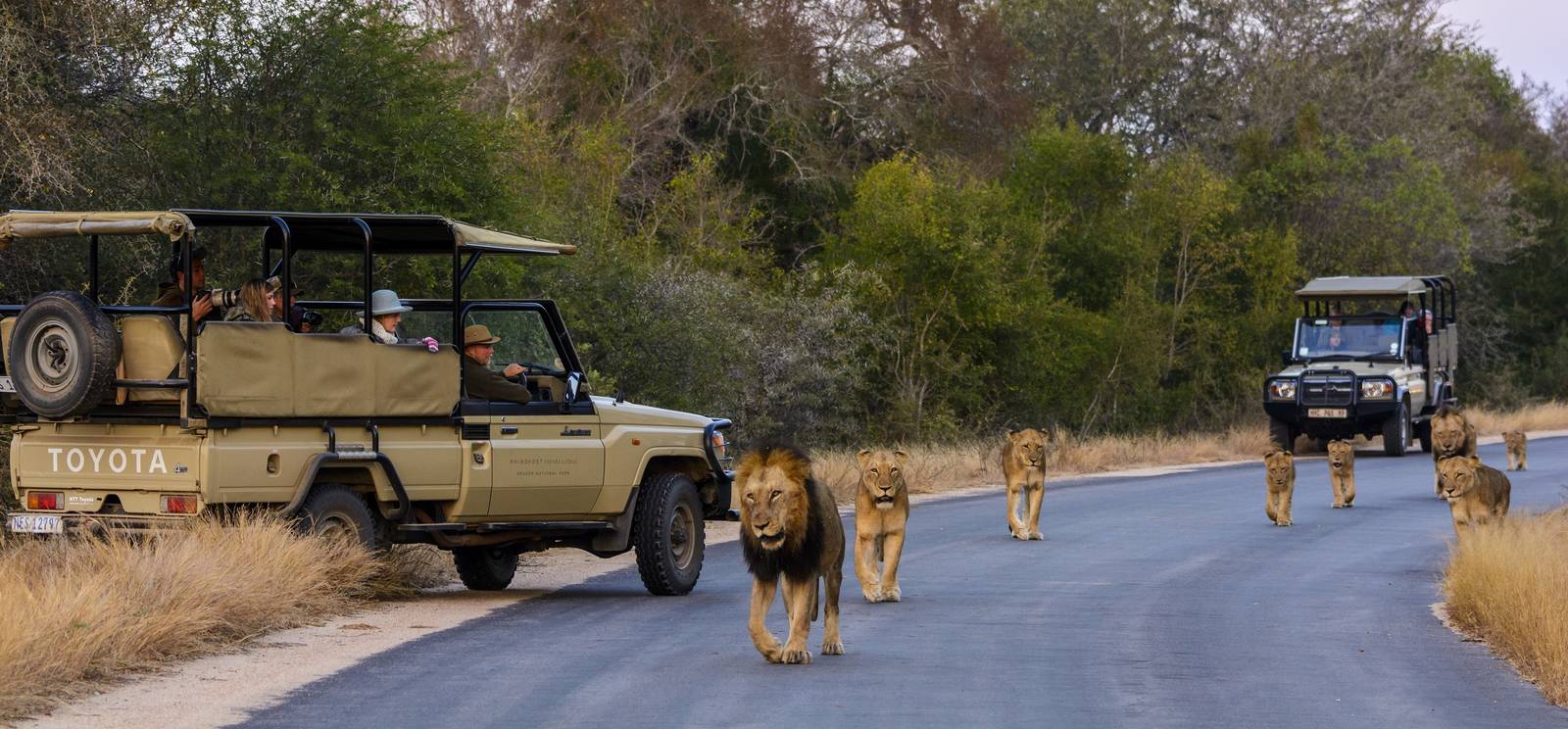 parque-nacional-limpopo.jpg